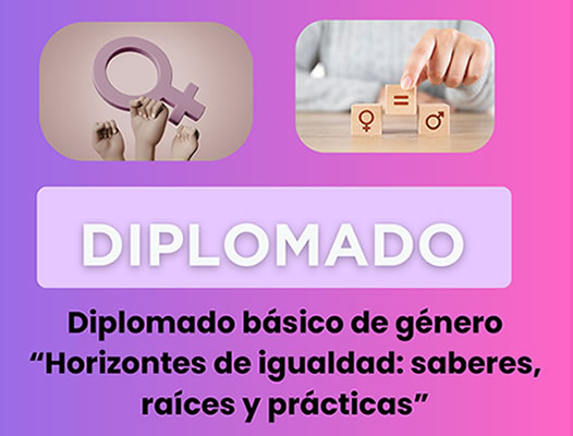 Convocatoria diplomado Básico de Género 